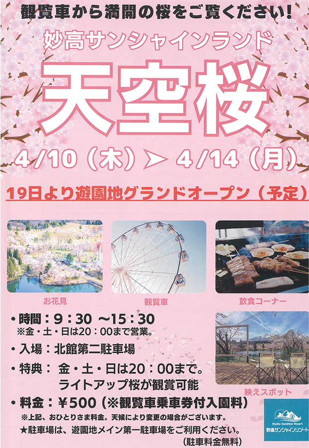 妙高サンシャインランド天空桜