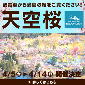 妙高サンシャインランド　オープニングイベント「天空桜」