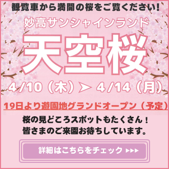 妙高サンシャインランド　観桜イベント「天空桜」